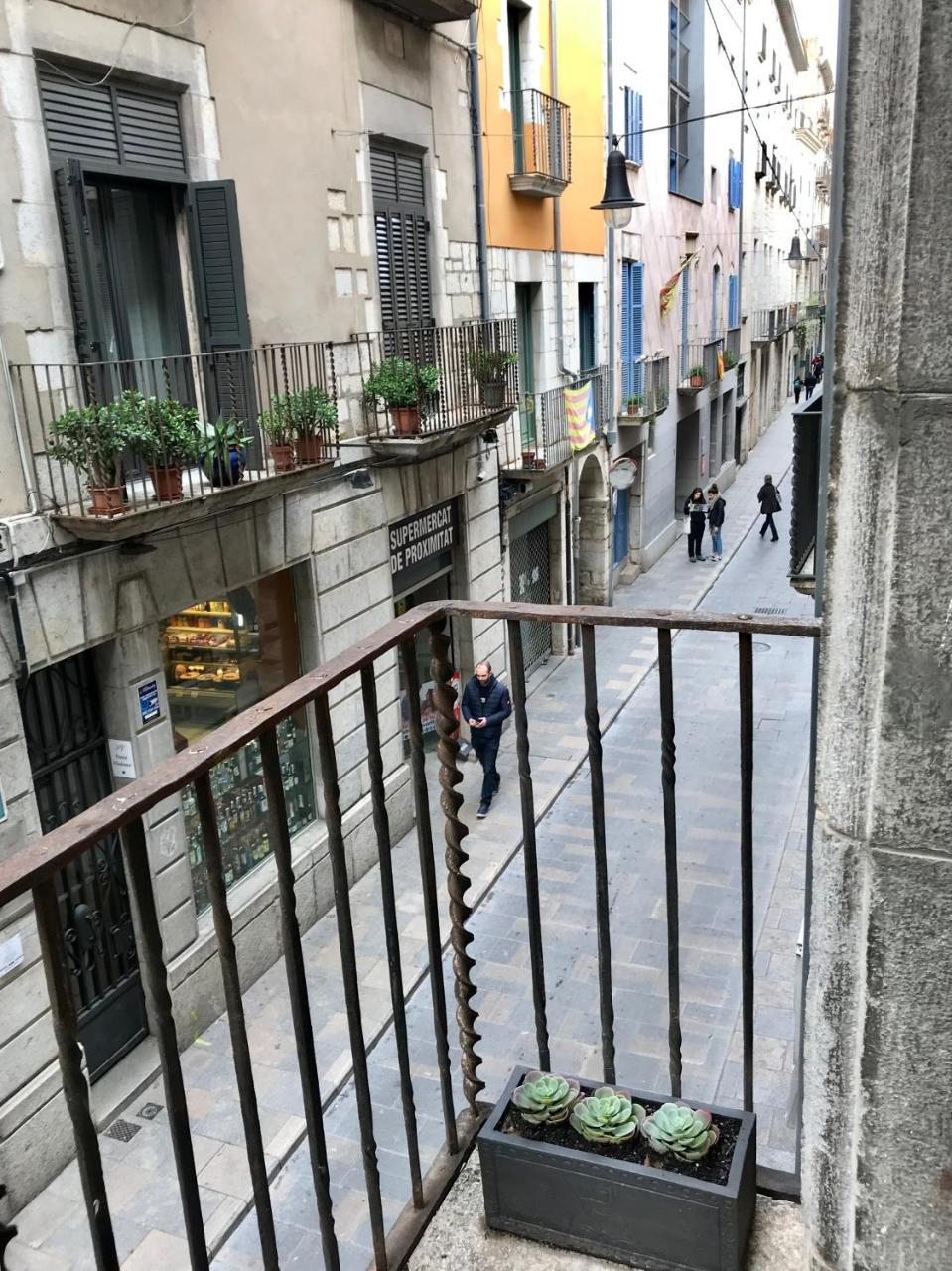 Apg Palau Salieti 1 Apartment Girona Luaran gambar